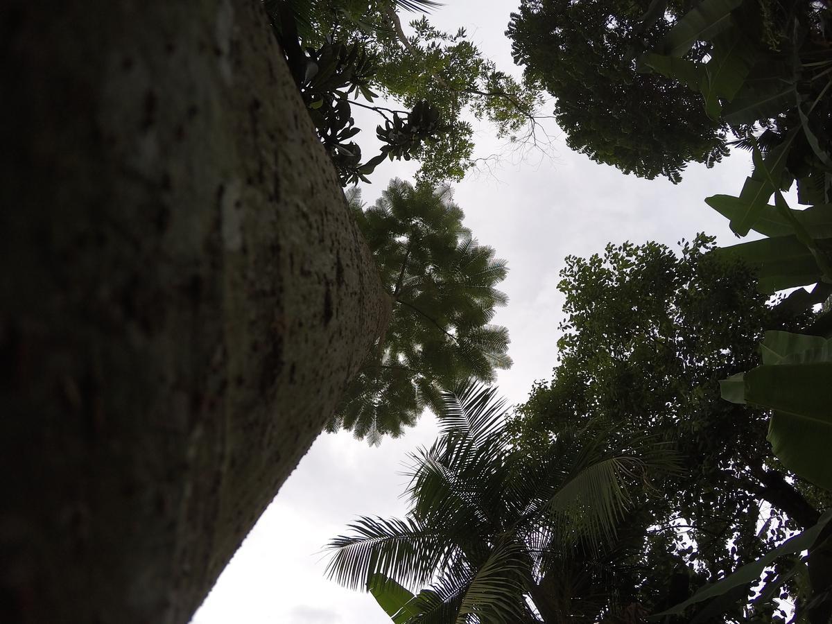 Pousada Portal Do Vigolo ノーヴァ・トレント エクステリア 写真